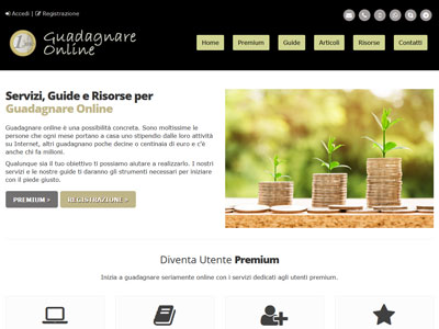 Guadagnare Online